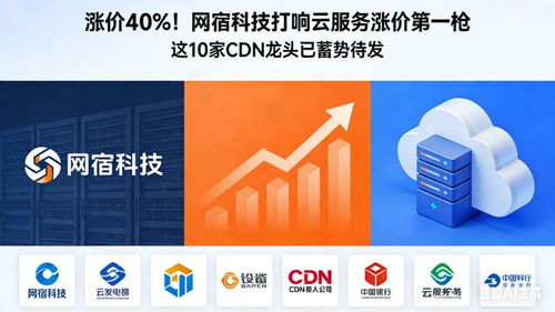 漲價(jià)40% 網(wǎng)宿科技打響云服務(wù)漲價(jià)第一槍，10家CDN龍頭蓄勢(shì)待發(fā)